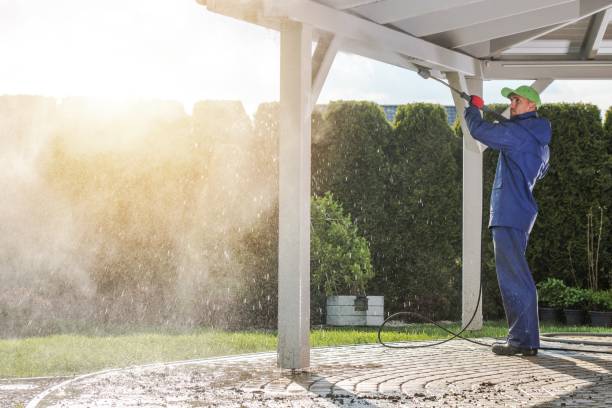 Best Sign and Awning Cleaning  in Pine Island, MN